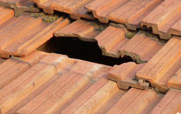 roof repair Taddington